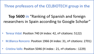 Ranking of Spanish and foreign researchers working in Spain