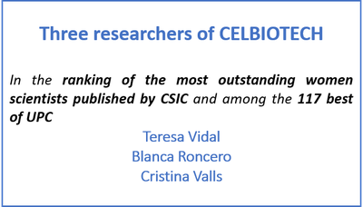 The 3 researchers have been included in the second edition of the most outstanding women scientists ranking (CSIC)